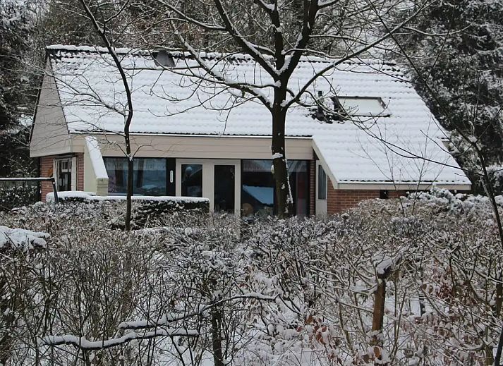 Unterkunft 2303128 - Ferienhaus Friese bossen - Boshuis Daaldersplakje
