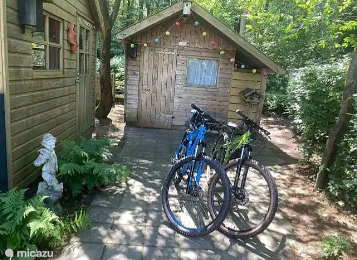 Unterkunft 2303128 - Ferienhaus Friese bossen - Boshuis Daaldersplakje