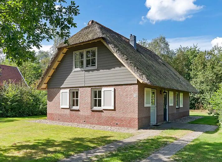 Unterkunft 2303129 - Ferienhaus Friese bossen - Keizersmantel 6 pers. | Comfort