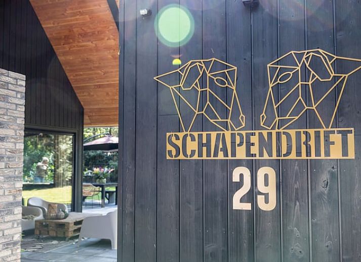 Stylish living room of a cottage in Appelscha, vacation home in the Frisian forests, Friesland, with modern furnishings and art on the walls.