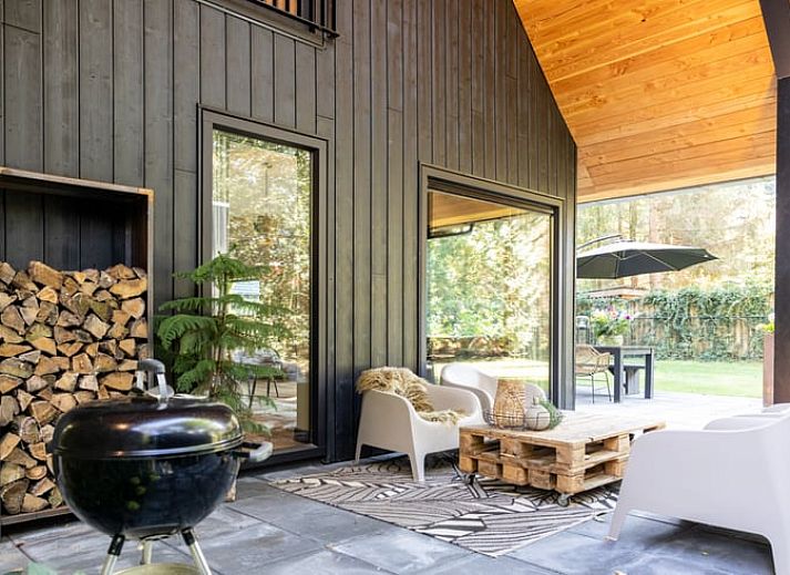 Stylish living room of a cottage in Appelscha, vacation home in the Frisian forests, Friesland, with modern furnishings and art on the walls.