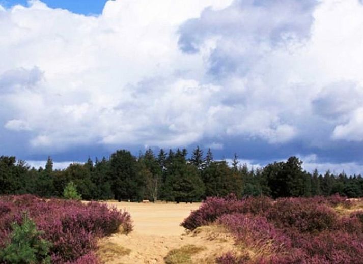 Cozy living room of Huisje in Appelscha, vacation home in the Frisian forests of Friesland, with a view of the green garden and modern interior.