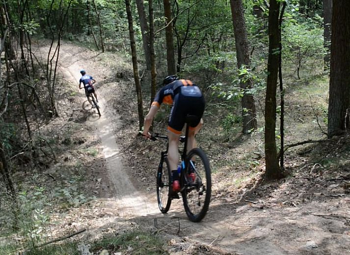 Cozy living room of Huisje in Appelscha, vacation home in the Frisian forests of Friesland, with a view of the green garden and modern interior.