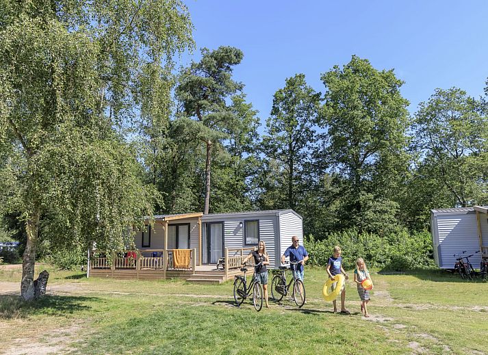 Mobil home de Libelle in Appelscha, Friesland met zonnige veranda en groene omgeving.