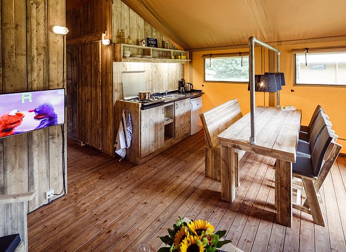 Guest house 230332 - Tent house Friese bossen - Safaritent de Wold Lodge