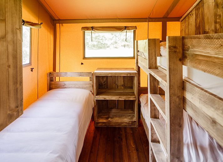 Guest house 230332 - Tent house Friese bossen - Safaritent de Wold Lodge