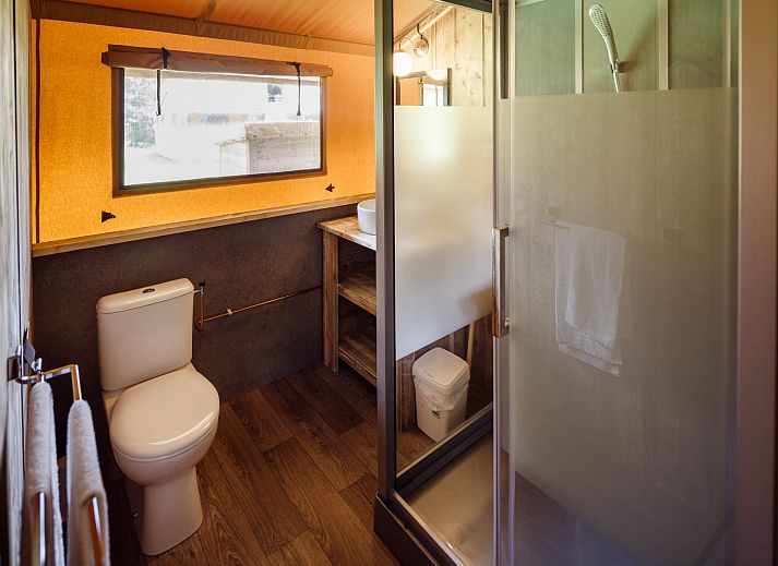 Guest house 230332 - Tent house Friese bossen - Safaritent de Wold Lodge