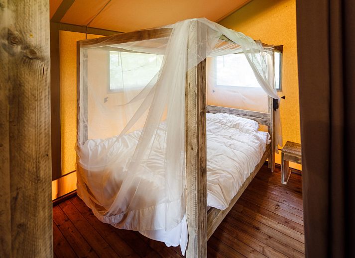 Guest house 230332 - Tent house Friese bossen - Safaritent de Wold Lodge