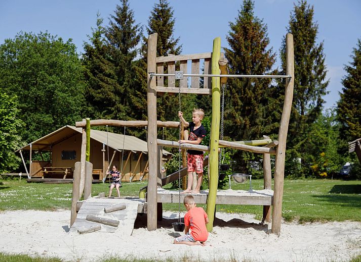 Guest house 230332 - Tent house Friese bossen - Safaritent de Wold Lodge