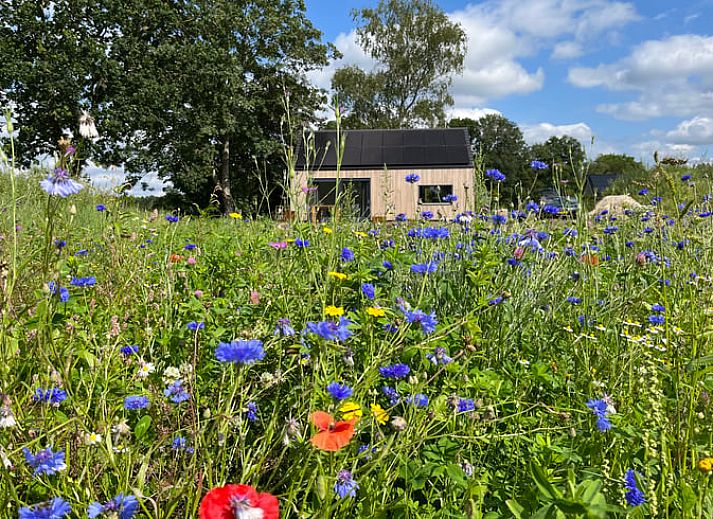 Verblijf 230335 • Vakantiewoning Friese bossen • Natuurhuisje in Appelscha