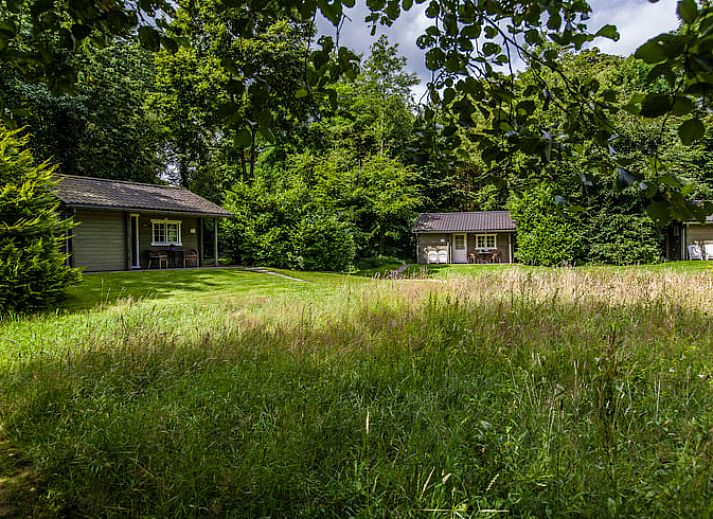 Verblijf 230338 - Vakantiewoning Friese bossen - Huisje in Appelscha