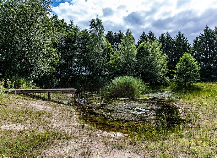 Verblijf 230338 - Vakantiewoning Friese bossen - Huisje in Appelscha