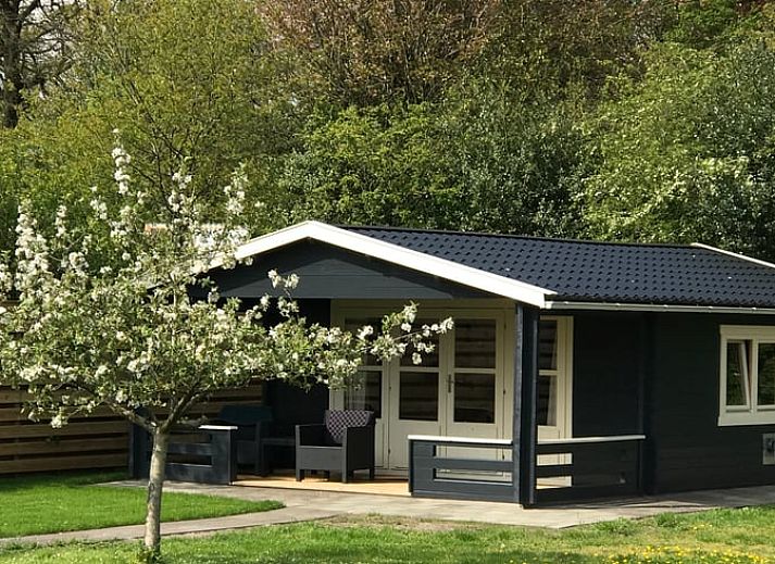 Guest house 230346 • Holiday property Friese bossen • Vakantiehuisje in Appelscha