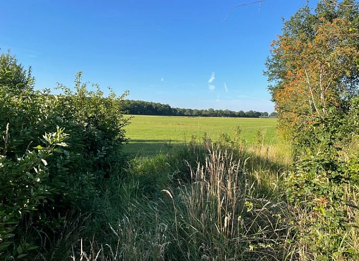 Verblijf 230350 • Vakantiewoning Friese bossen • Natuurhuisje in Appelscha