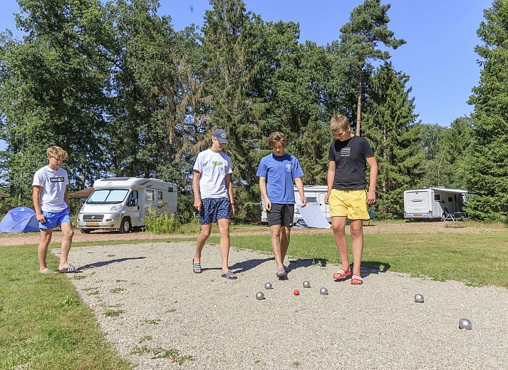 Guest house 230353 - Holiday property Friese bossen - RCN de Roggeberg | Camperplaats