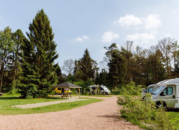 Guest house 230353 - Holiday property Friese bossen - RCN de Roggeberg | Camperplaats