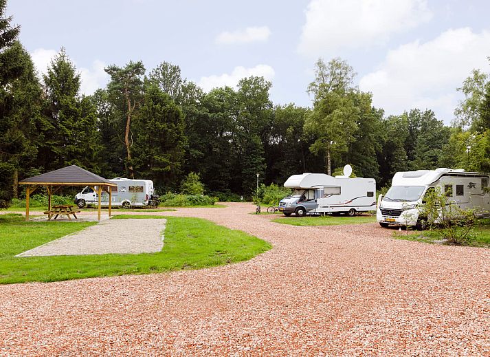 Guest house 230353 - Holiday property Friese bossen - RCN de Roggeberg | Camperplaats