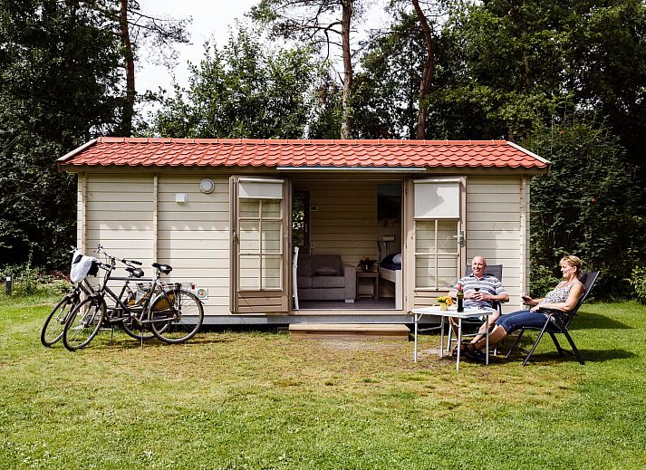 Guest house 230357 - Chalet Friese bossen - Kampeerchalet de Klapekster