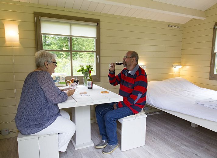 Guest house 230357 - Chalet Friese bossen - Kampeerchalet de Klapekster