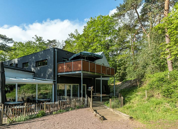 Unterkunft 230364 - Ferienhaus Friese bossen - Huisje in Appelscha