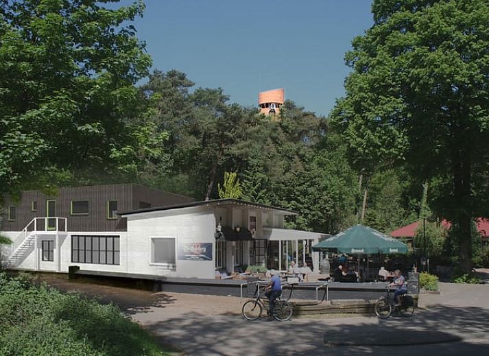 Unterkunft 230364 - Ferienhaus Friese bossen - Huisje in Appelscha