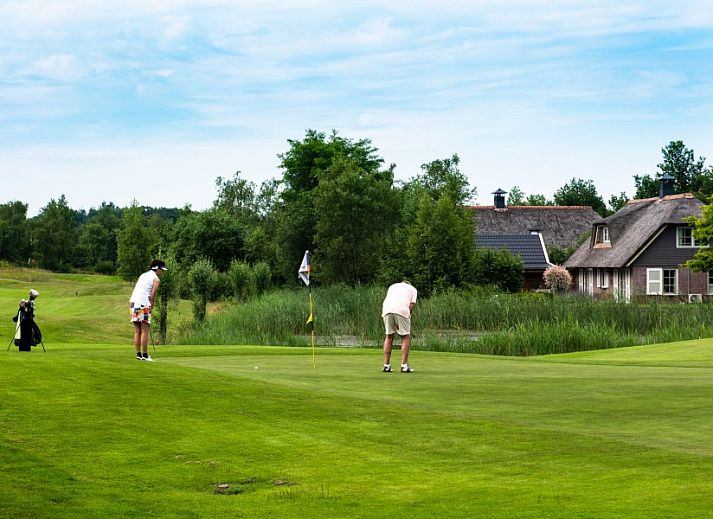 Guest house 230367 - Holiday property Friese bossen - Vakantiehuis Applescha
