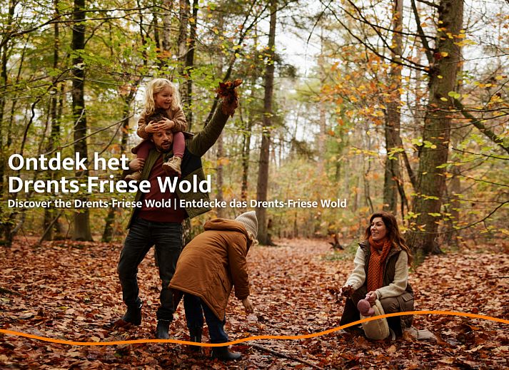 Private Sauna und Schwimmbad in Unbrick One, Ferienhaus in Appelscha, Friesland.