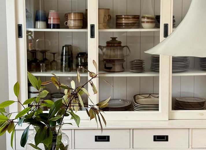 Huisje in Appelscha, een charmant vakantiehuis in de Friese bossen van Friesland, omgeven door groen.