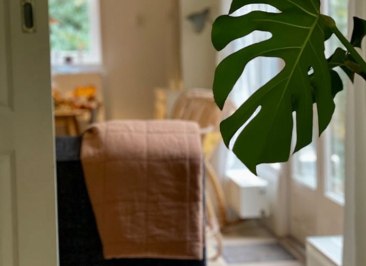 Stijlvolle kast in Huisje in Appelscha, vakantiehuis in Friese bossen, gevuld met servies.