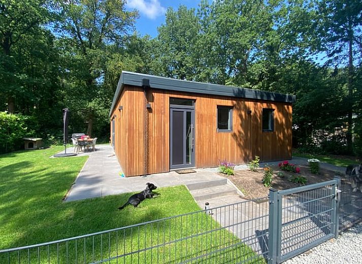 Ferienhaus in Appelscha, in den friesischen Waeldern von Friesland gelegen, mit moderner Holzfassade und grosser Terrasse.
