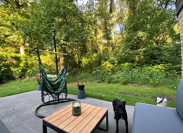 Ferienhaus in Appelscha, in den friesischen Waeldern von Friesland gelegen, mit moderner Holzfassade und grosser Terrasse.