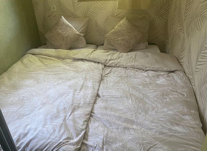 Blick von der Terrasse des Ferienhauses in Appelscha, mit Haengesessel und gruener Umgebung in Friesland.