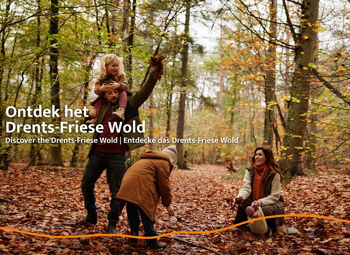 Unterkunft 230385 - Ferienhaus Friese bossen - Unbrick One | Sauna