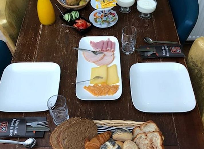Terrace of Holiday Home in Appelscha, located in the Frisian forests of Friesland.