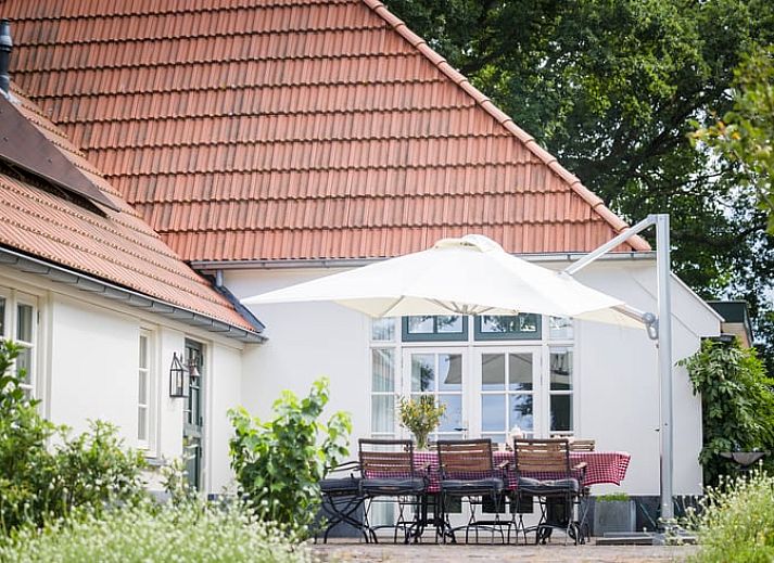 Unterkunft 230406 - Ferienhaus Friese bossen - Vakantiehuisje in Oldeberkoop