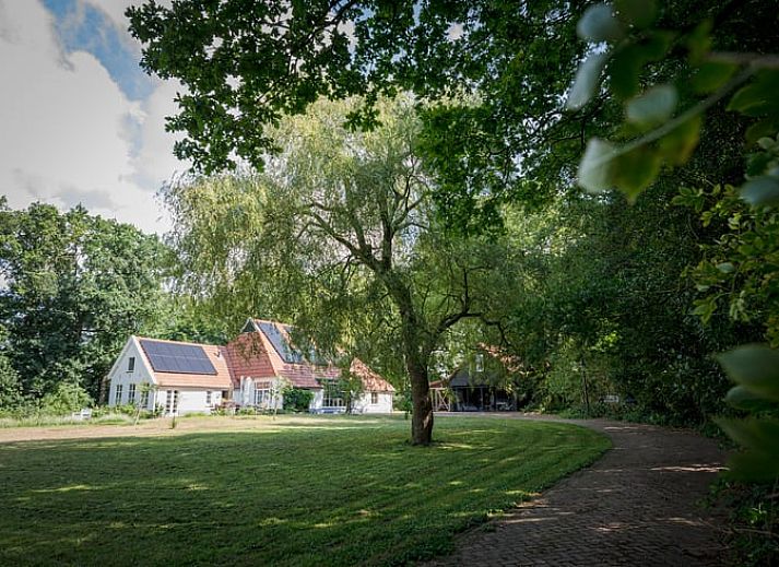 Unterkunft 230406 - Ferienhaus Friese bossen - Vakantiehuisje in Oldeberkoop
