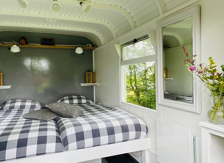 Guest house 230409 - Holiday property Friese bossen - Huisje in Oldeberkoop