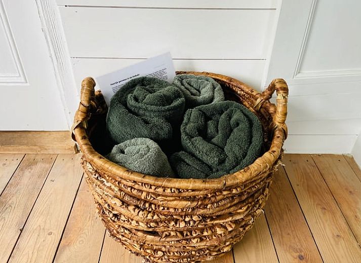 Guest house 230409 - Holiday property Friese bossen - Huisje in Oldeberkoop