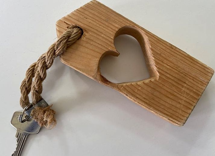 Guest house 230409 - Holiday property Friese bossen - Huisje in Oldeberkoop