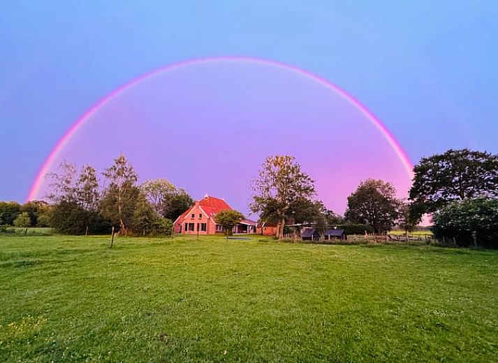 Guest house 230409 - Holiday property Friese bossen - Huisje in Oldeberkoop