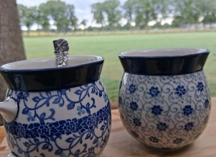 Unterkunft 230413 - Ferienhaus Friese bossen - Huisje in Oldeberkoop