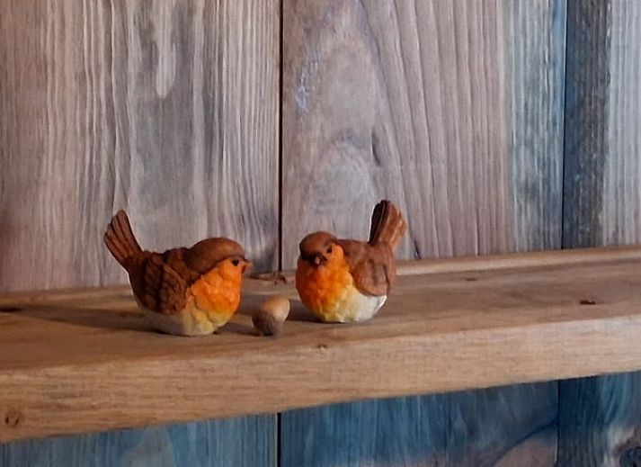 Unterkunft 230413 - Ferienhaus Friese bossen - Huisje in Oldeberkoop