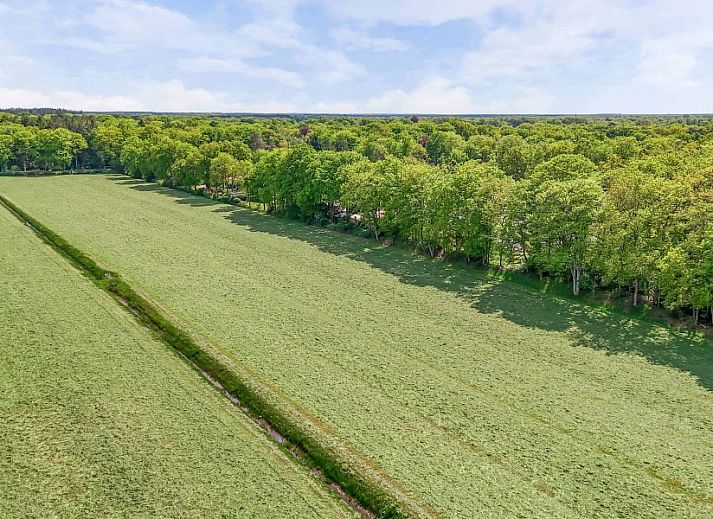 Verblijf 230415 - Vakantiewoning Friese bossen - Vakantiehuis