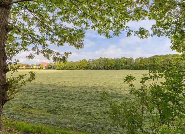 Verblijf 230415 - Vakantiewoning Friese bossen - Vakantiehuis