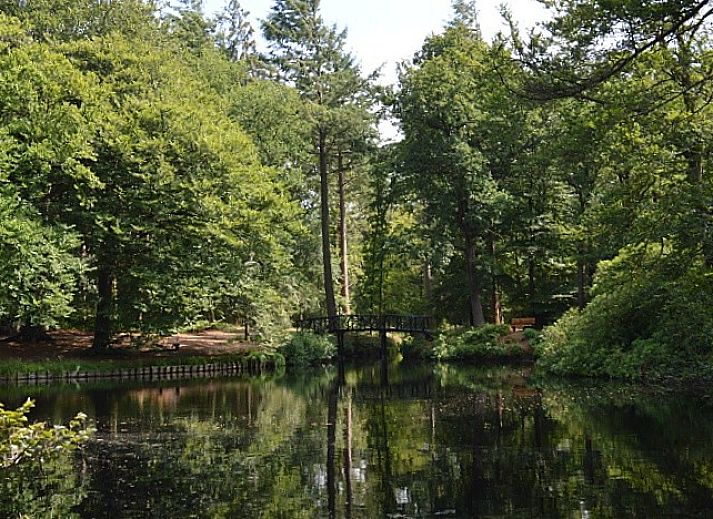 Verblijf 230415 - Vakantiewoning Friese bossen - Vakantiehuis