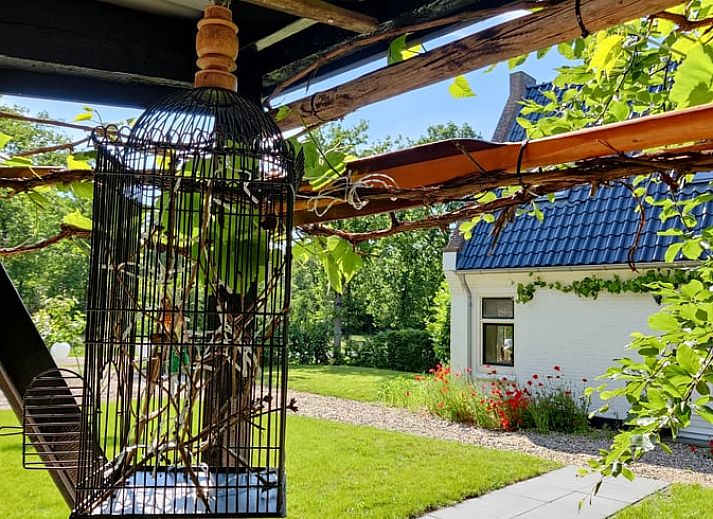 Vakantiehuisje in Ruigahuizen omringd door kleurrijke bloemen in de Friese bossen, Friesland.
