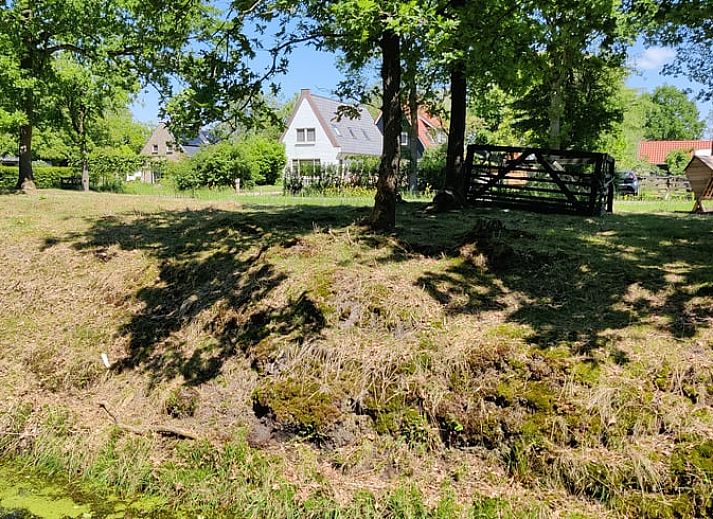 Gezellige veranda bij Vakantiehuisje in Ruigahuizen, omgeven door natuur in Friesland.