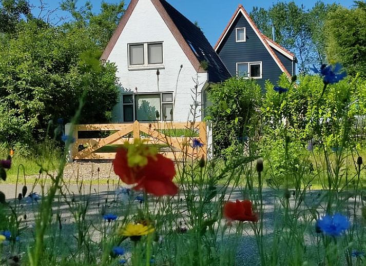 Gezellige veranda bij Vakantiehuisje in Ruigahuizen, omgeven door natuur in Friesland.