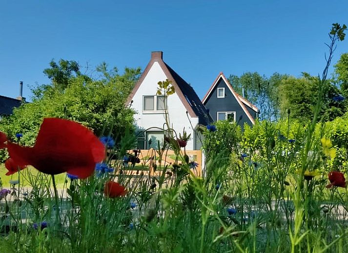 Moderne keuken in Vakantiehuisje in Ruigahuizen met uitzicht op de Friese bossen, Friesland.