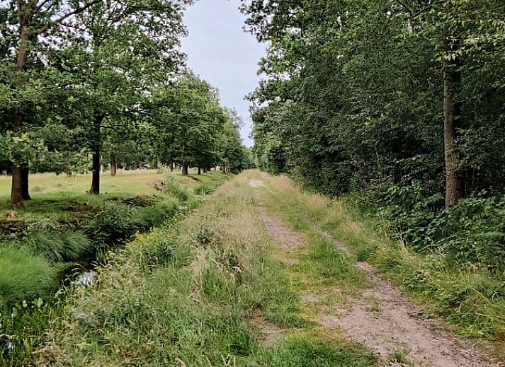 Moderne keuken in Vakantiehuisje in Ruigahuizen met uitzicht op de Friese bossen, Friesland.